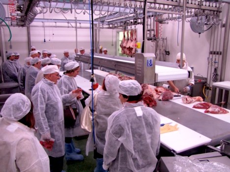 5/5/11, Piove di Sacco (Pd), visita soci azienda Dimensione Carne, fasi lavorazione