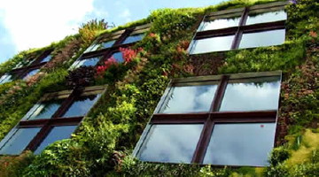 impianti-fotovoltaici-e-giardini-verticali-in-citta-milano-allavanguardia-per-le-soluzioni-bio