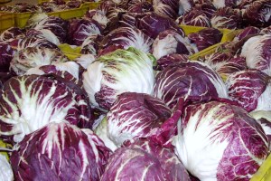 02 - Radicchio precoce
