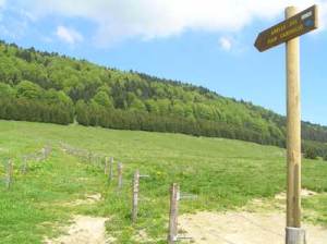 Sentieri del Cansiglio (foto Veneto Agricoltura)