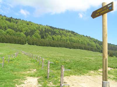Sentieri del Cansiglio (foto Veneto Agricoltura)
