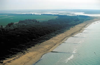 Vallevecchia, litorale