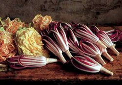 Radicchio-di-Treviso-e-Castelfranco