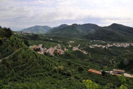 Conegliano-Valdobbiadene-Colline-Prosecco-DOCG