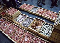 dicono-di-noi_il-pesce-si-compra-via-web-con-i-server-fujitsu-siemens