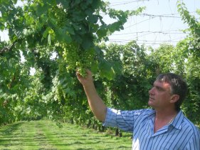 Valerio Nadal, presidente Co.Di.TV