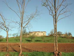 20070320_campagna