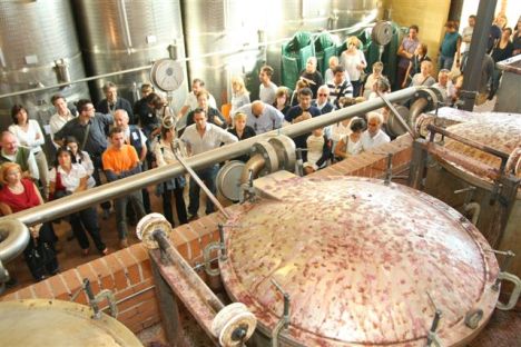 grapperie aperte  - visite