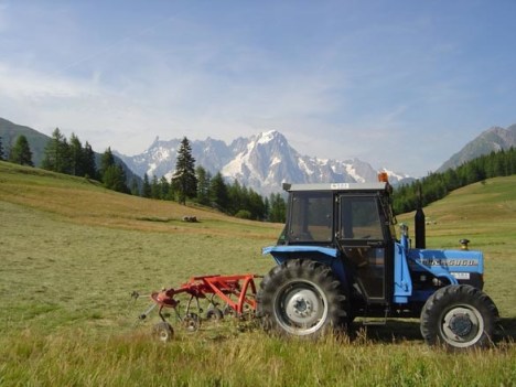 Agricoltura montagna