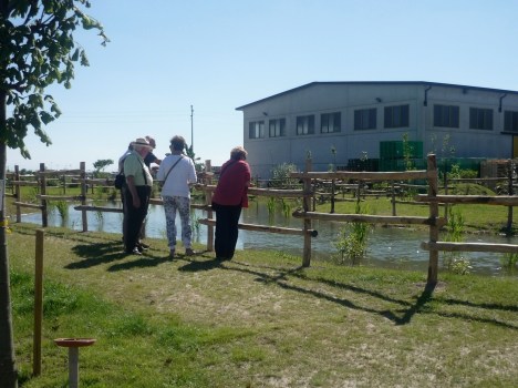 Laghetto fitodepurazione