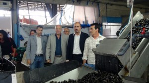 Manzato incontra le cooperative di pescatori del Delta del Po