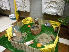 Animali testimonial a Venezia per agricoltura sociale