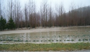 campi allagati
