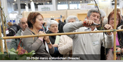 Vita in Campagna fiera