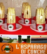 Asparago Conche