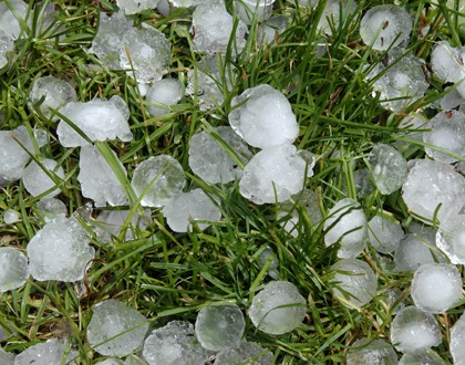 grandine