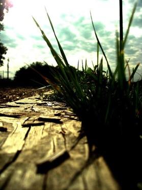 Gal Baldo Lessinia bando green