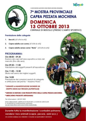 CapraPezzata_Mochena