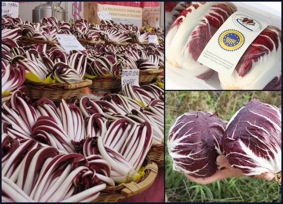 la strada del radicchio (3)
