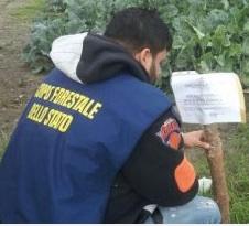 Corpo Forestale Stato