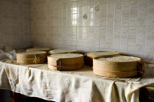 Loc_malga_Lessinia-DSC_0062