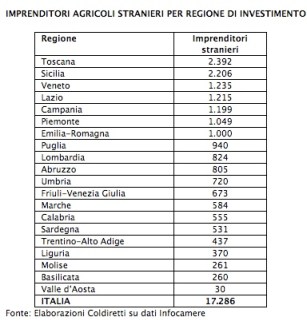 Statistica Infocamere