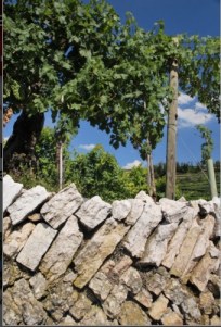 Marogne della Valpolicella