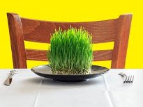 nature and food205xh