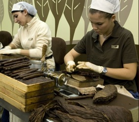 Sigaraie (foto Manifatture Sigaro Toscano)