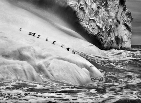 ©SebastiãoSalgado/Amazonas	Images