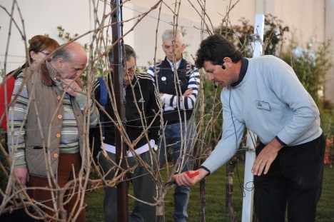 Fiera di Vita in Campagna lezione potatura