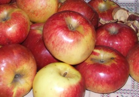 Pom Prussian (foto Dolomiti Prealpi)