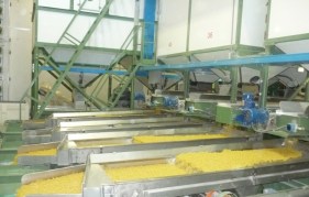 Produzione pasta Zara 2