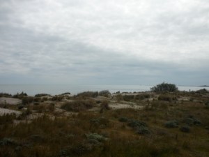 Giardino Botanico Porto Caleri