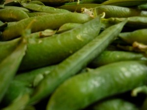 Bacelli bisi verdone nano