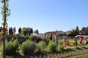 In giro per Ortodidattico