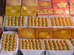 India Mango