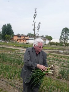 Renato Maggiolo mentre raccoglie cipollotti