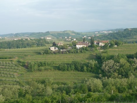 Paesaggio 5