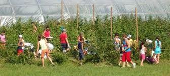 Vacanze in fattoria Coldiretti