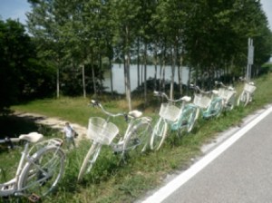 Bici Po di Goro