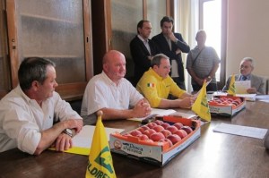 Pesche Coldiretti Verona