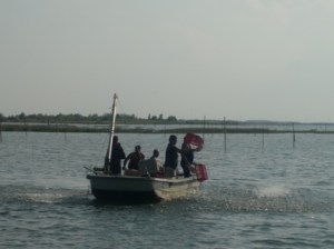 Semina vongole laguna Caleri