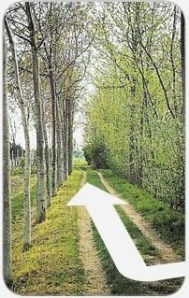 Consorzio Bim Basso Piave