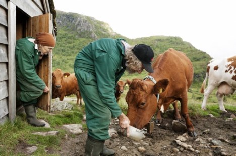 Siblings are forever_Fratelli per sempre