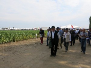 Consorzio Agrario Nordest