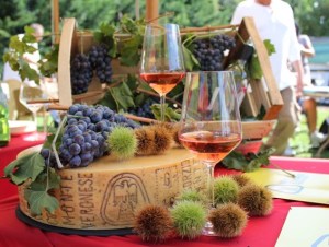 FOTO castagne, bardolino e monte veronese