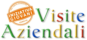 BANNER con Logo Iniziativa Giovani Veneto e scritta carattere Google Visite Aziendali