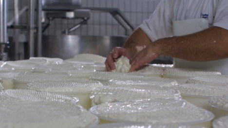 Castella trevigiana dop