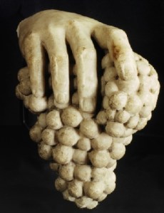 7. 56 MUVIT Museo del Vino, Fondazione Lungarotti, Torgiano (PG) - Frammento di scultura. Mano destra con grappolo